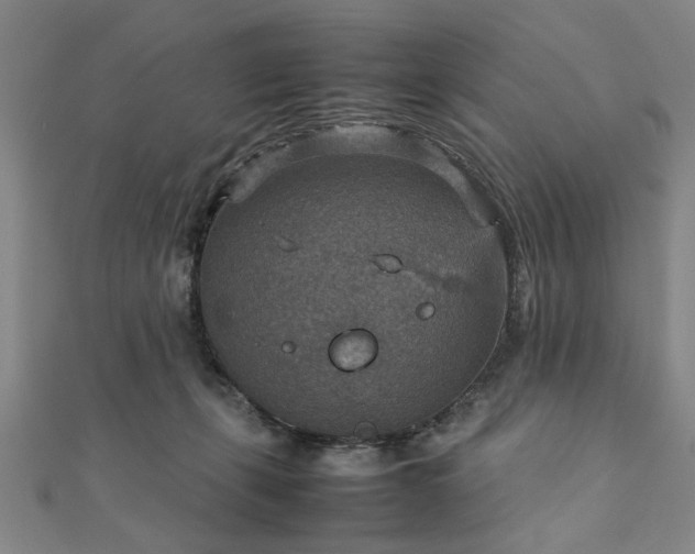 X0000111900271200908031123