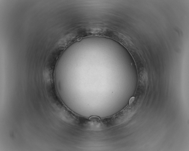 X0000111900272200908031123