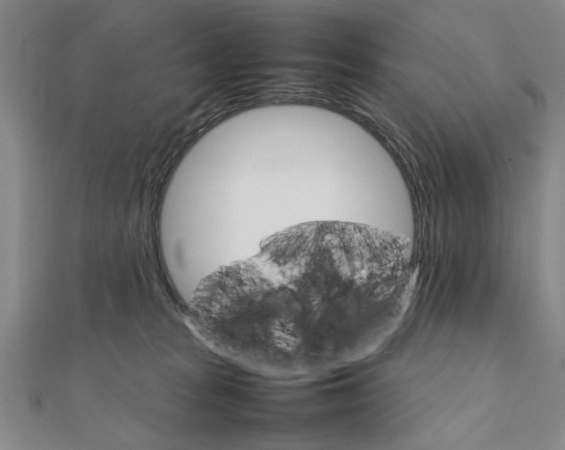 X0000111900277200908031123