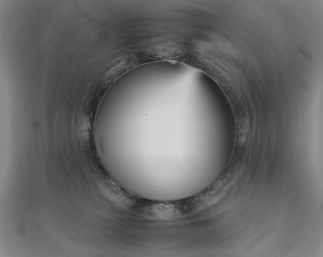 X0000111900279200908031123