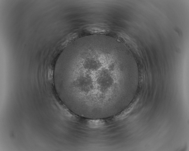 X0000111900281200908031123