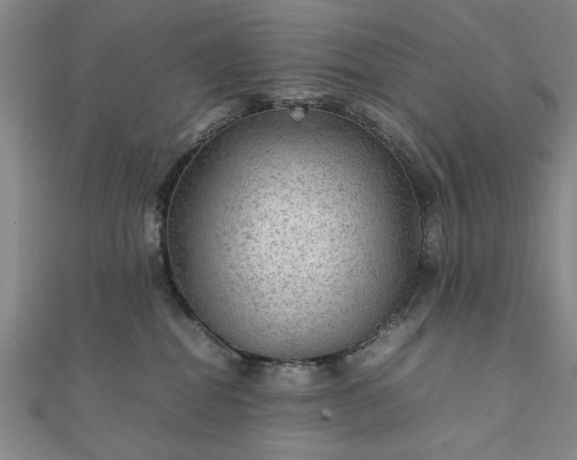 X0000111900282200908031123