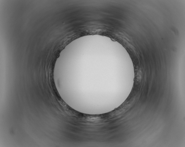 X0000111900283200908031123