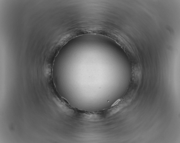 X0000111900284200908031123