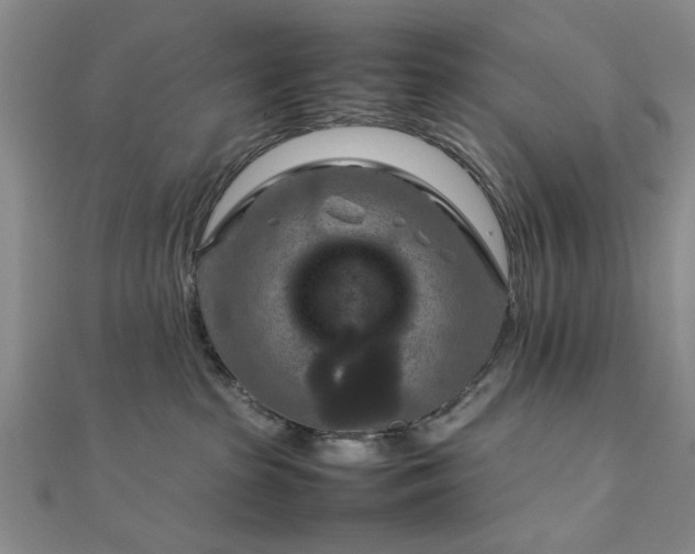 X0000111900285200908031123