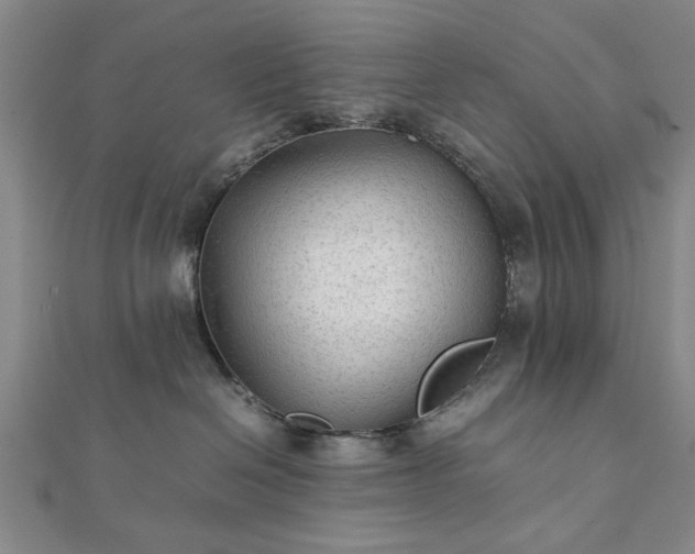 X0000111900286200908031123