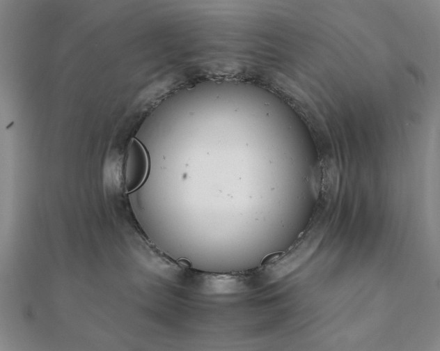 X0000111900287200908031123