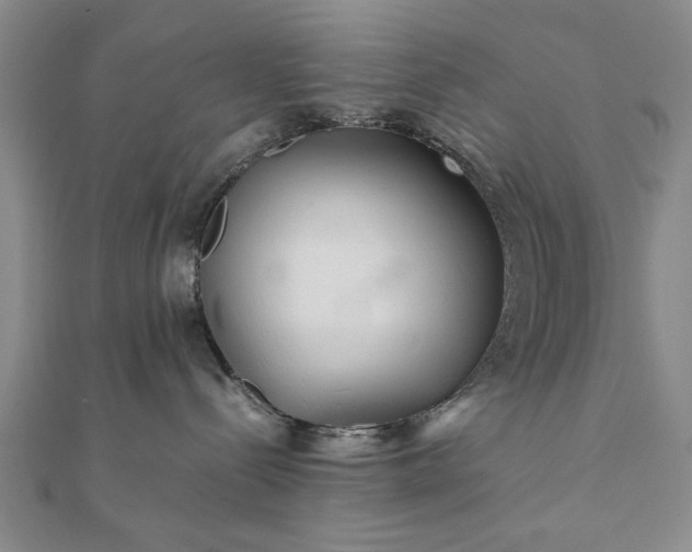 X0000111900288200908031123