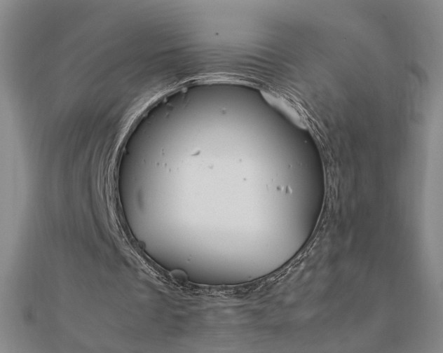 X0000111900289200908031123