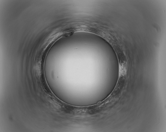 X0000111900291200908031122