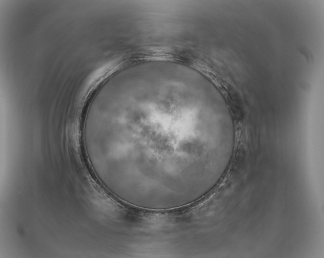 X0000111900293200908031122