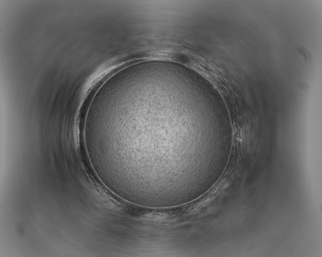 X0000111900294200908031122