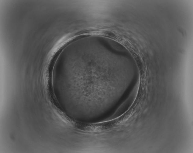 X0000111900295200908031122