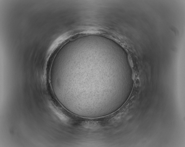 X0000111900296200908031122