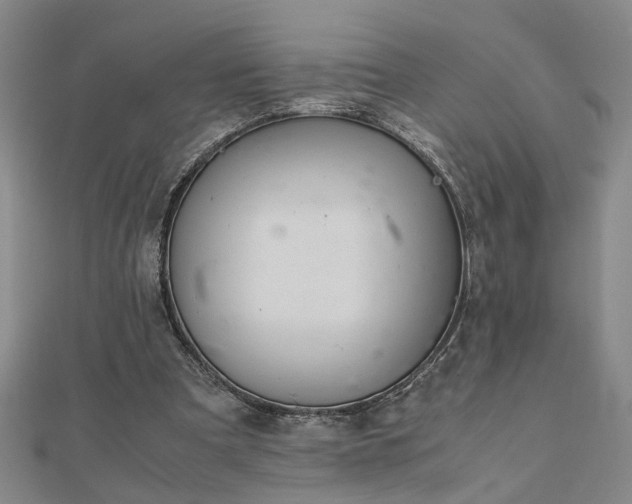 X0000111900297200908031122