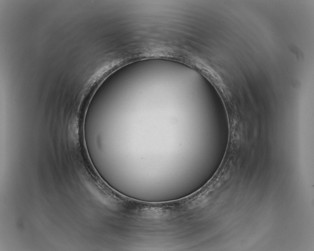 X0000111900298200908031122