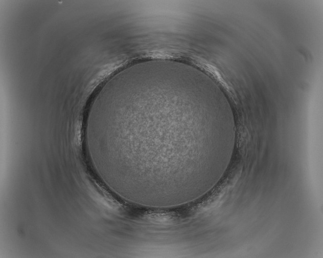 X0000111900299200908031122