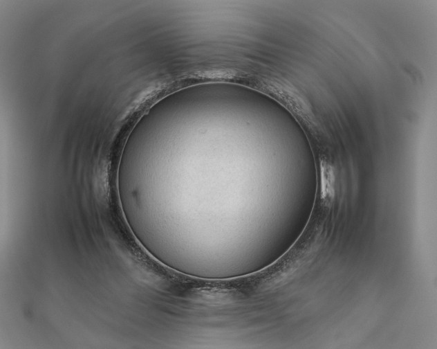 X0000111900300200908031122