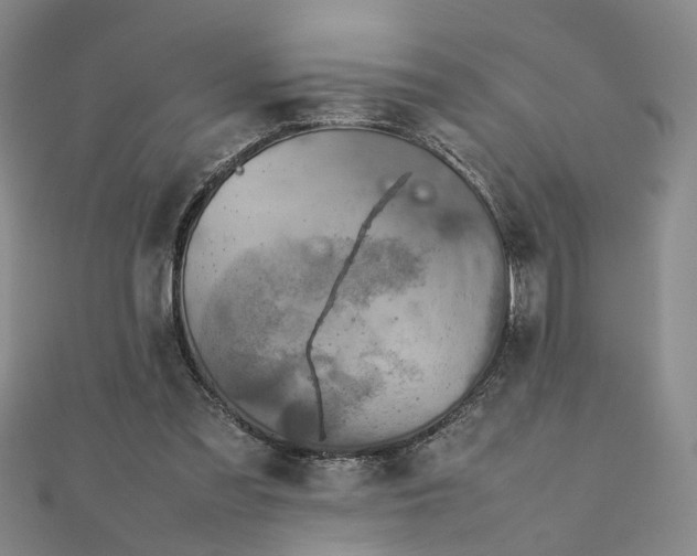 X0000111900301200908031122