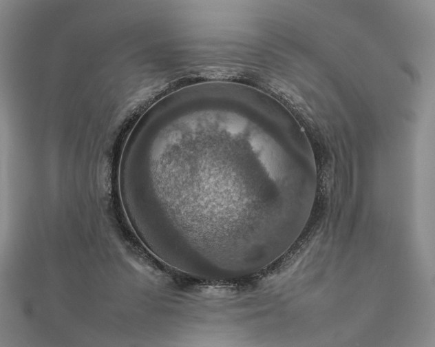 X0000111900303200908031122