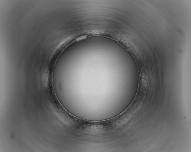 X0000111900304200908031122