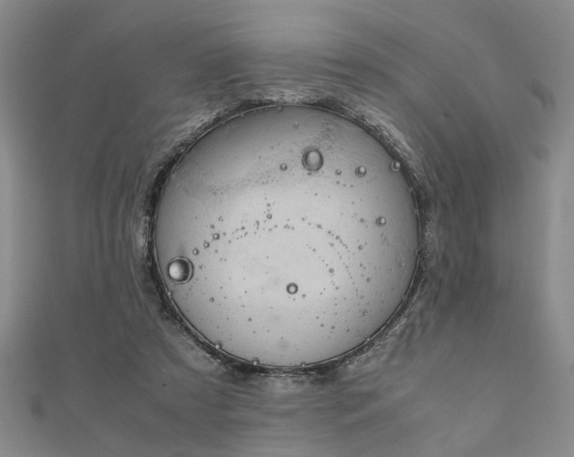 X0000111900305200908031122