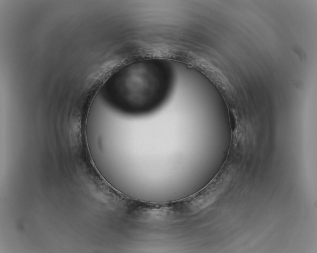 X0000111900306200908031122