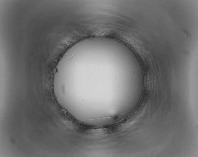 X0000111900307200908031122