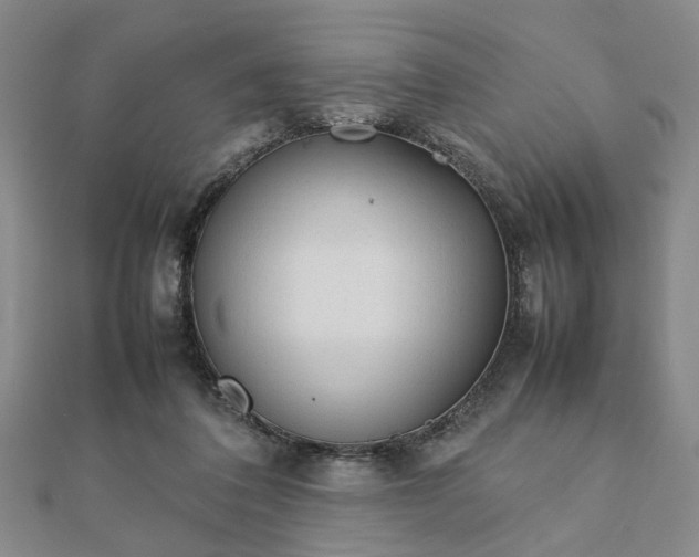 X0000111900308200908031122