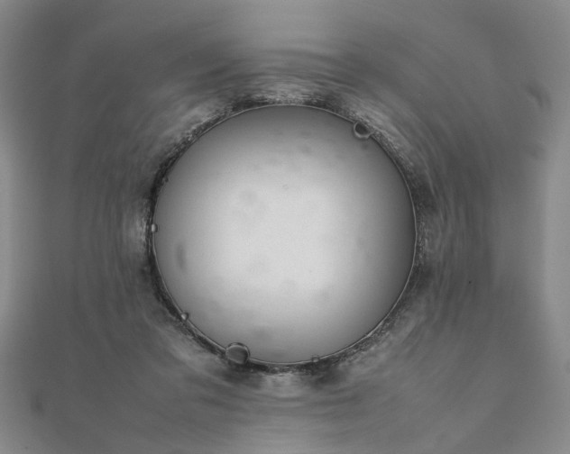 X0000111900309200908031122