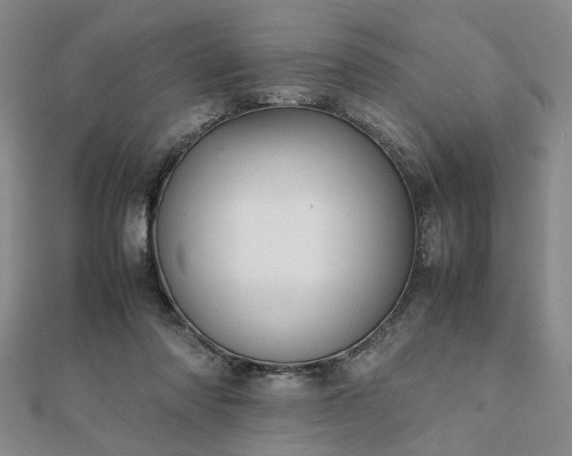 X0000111900310200908031122