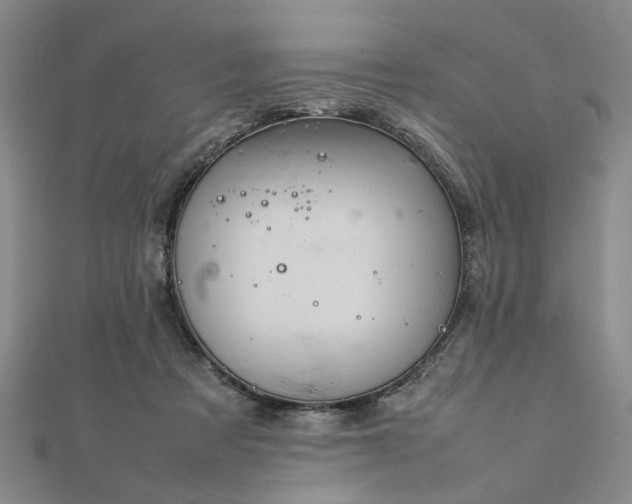 X0000111900313200908031122