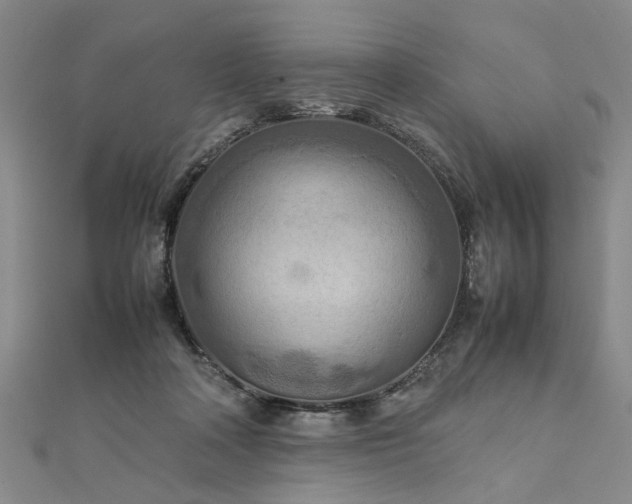 X0000111900314200908031122