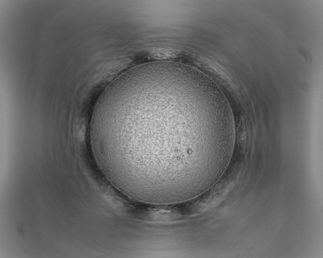 X0000111900315200908031122