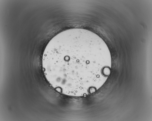 X0000111900317200908031122