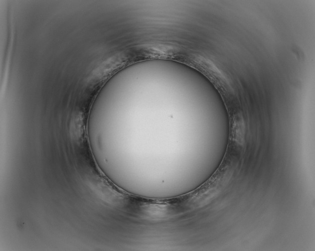 X0000111900318200908031122