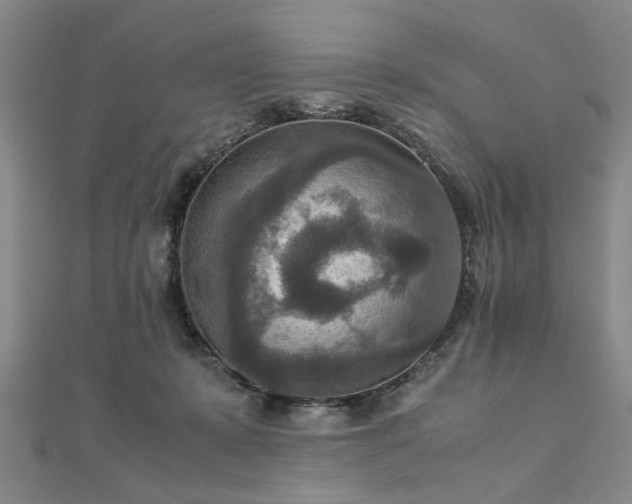 X0000111900319200908031122