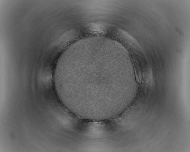 X0000111900320200908031122