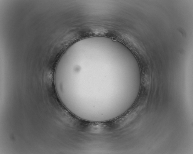 X0000111900321200908031122