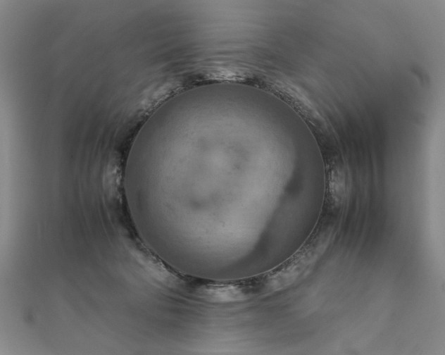 X0000111900322200908031122