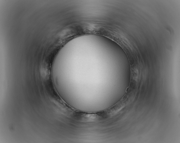 X0000111900324200908031122