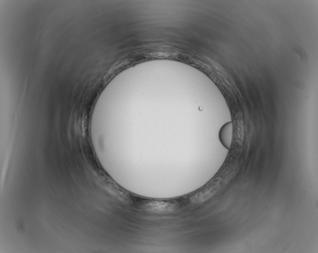 X0000111900326200908031122