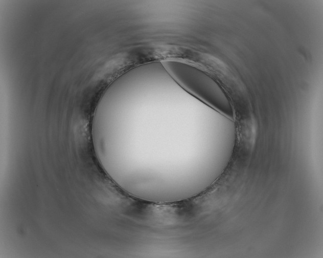 X0000111900327200908031122