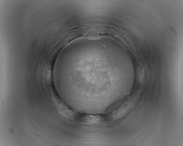 X0000111900328200908031122