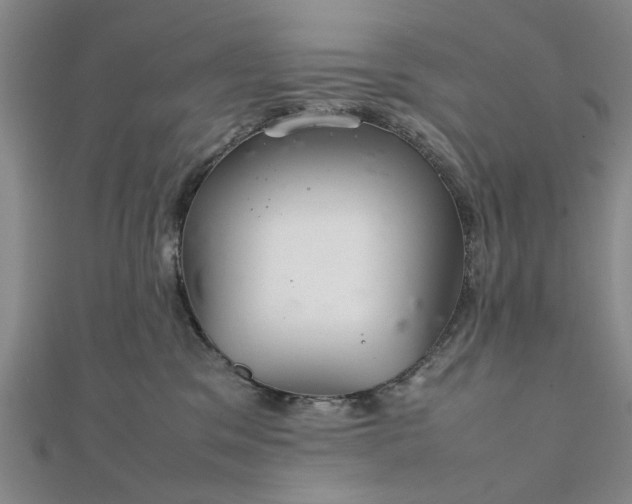 X0000111900329200908031122