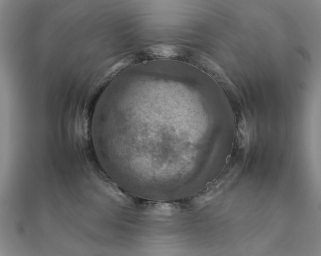 X0000111900330200908031122