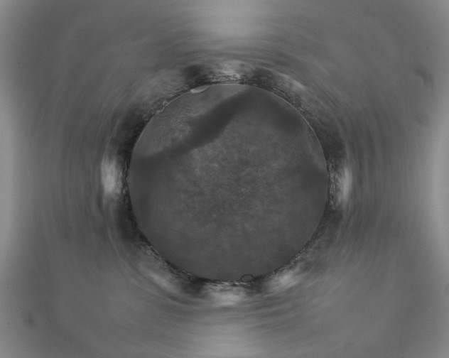 X0000111900331200908031122