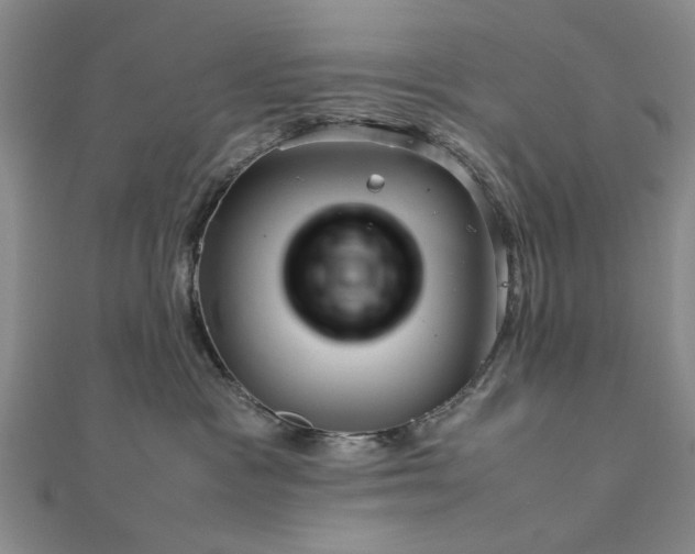 X0000111900333200908031122