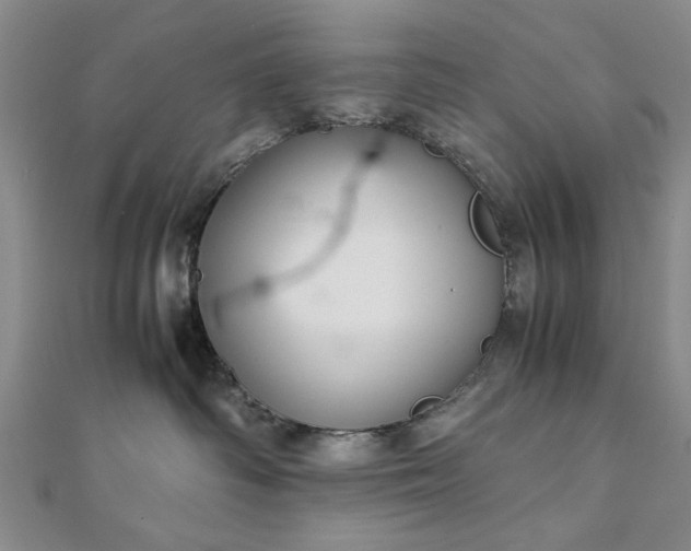 X0000111900334200908031122