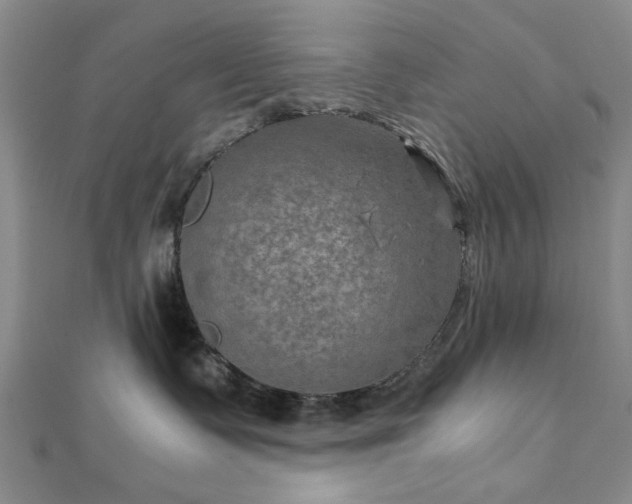 X0000111900335200908031122